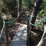 Gran Reymar 4 Sup Tossa de Mar