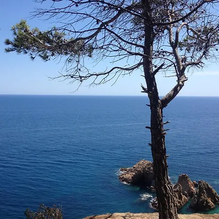 Hotell Gran Reymar 4 Sup Tossa de Mar