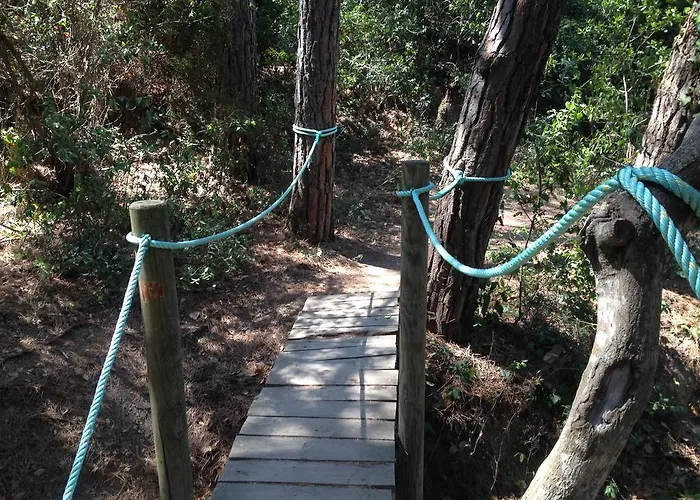 Gran Reymar 4 Sup 滨海托萨