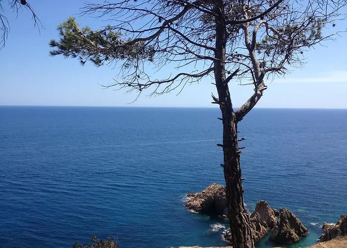 酒店 Gran Reymar 4 Sup 滨海托萨